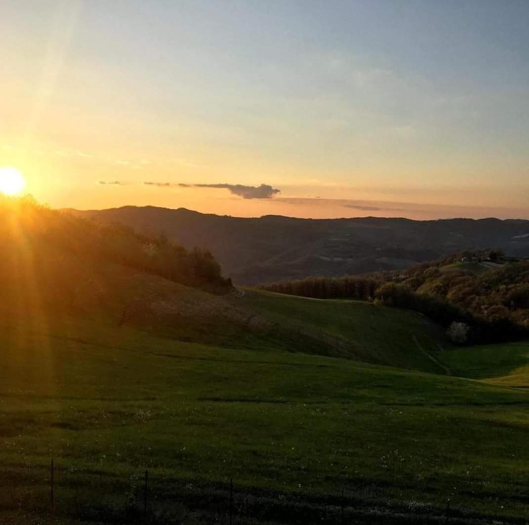 San Martino in Colle  Agriturismo Colle Del Soleヴィラ エクステリア 写真